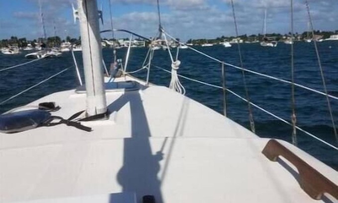 Miami Alquiler De Eote | unique perspective