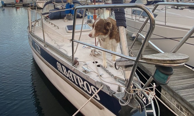Ouddorp Alquiler De Eote | Unique Stay on a Moored Sailing Yacht