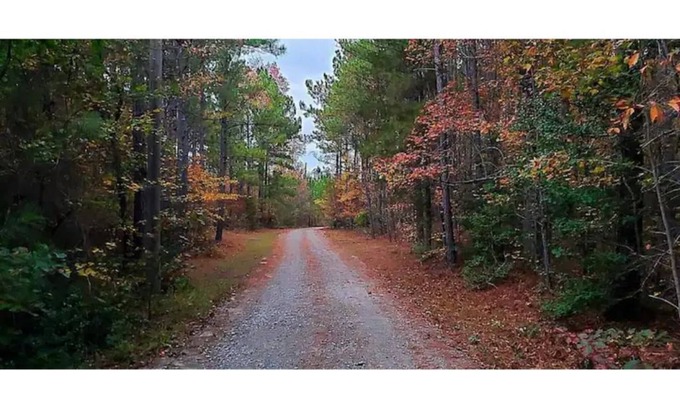 Cameron Casa | Unplug and relax at this peaceful farm retreat in the North Carolina pines.