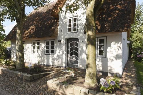 Oevenum Casa | Uns witte Kaat