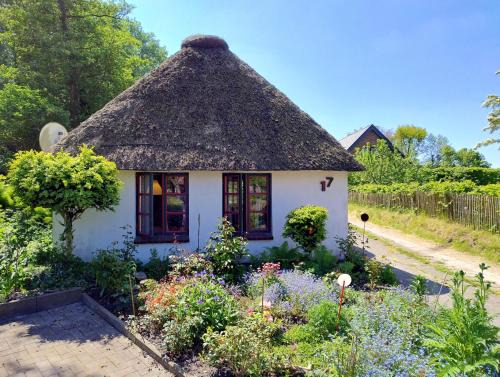 Suderdeich Casa | Unser Froschhaus