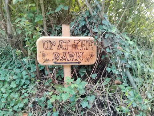 Sutton Otro | Up at the Barn