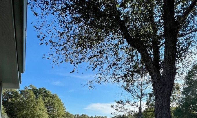 Carriere Otro | Upscale cabin on 12 acres with stocked pond, great porch, and gourmet kitchen!