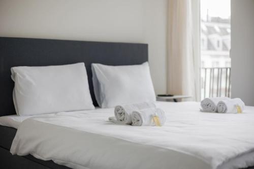 Sihlfeld Apartamento | Urban Oasis with Queen Bed and View BE-34