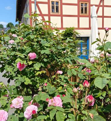 Lichtenhain Casa | Urlaub im 200 Jahre alten Fachwerkhaus
