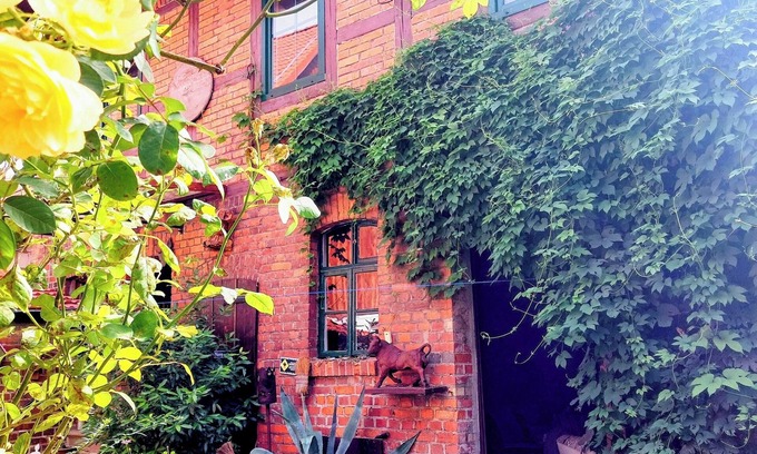 Deersheim Apartamento | Urlaub im Alten Fachwerk Im Sommer mit Gartenblick Oder im Winter vor dem Kamin