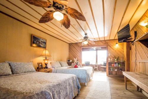 Isla de Utila Hotel | Utila Lodge