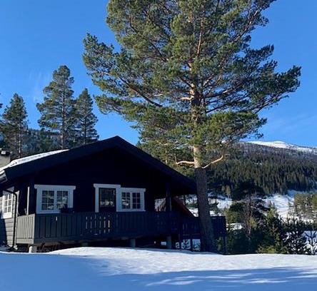 Nore og Uvdal Casa | Uvdalhytta - close to cross country and downhill skiing