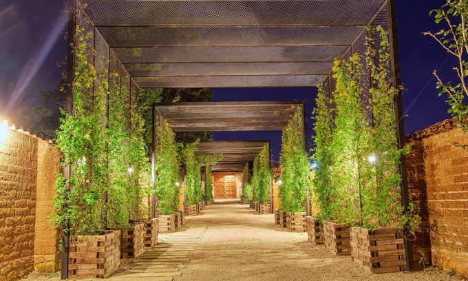 San Cristóbal de las Casas Hotel | Uvence Arte + Hotel