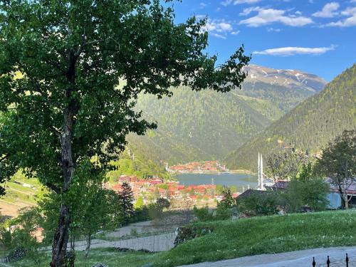 Uzungol Apartamento | Uzungöl Özkan Pansiyon
