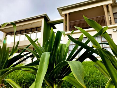 Port St Johns Cabina | Uzuri Lifestyle