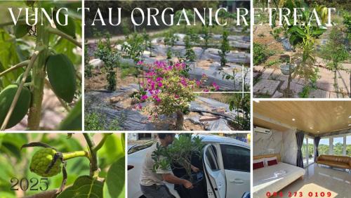 Phu My Apartamento | V A C Haven Viet Nam 2