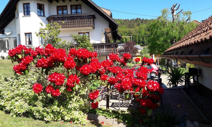 Wittenschwand Apartamento | Apartamento / app. para 4 personas con 90m² en Dachsberg (Selva Negra Meridional) (95171)