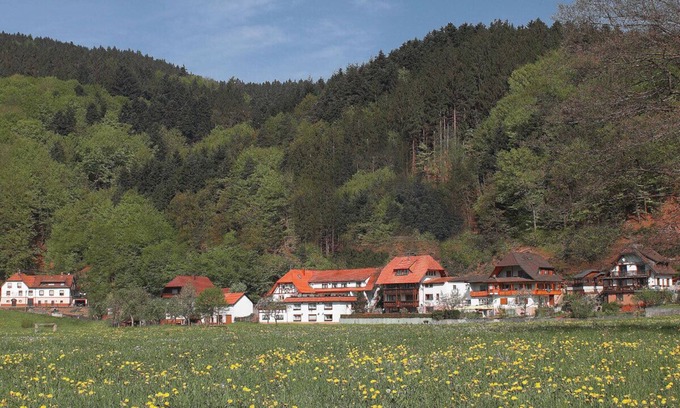 Winden im Elztal Apartamento | Vacation apartment at the Rain in the southern Black Forest - top equipment
