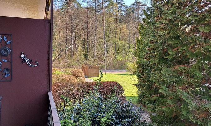 Ludwigswinkel Apartamento | Vacation apartment Felsenland