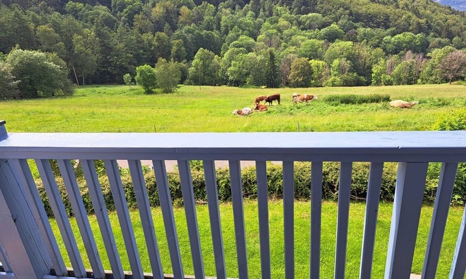Sonnenwald Apartamento | Vacation apartment/apartment for 3 guests with 35m² in Schöfweg (271303)