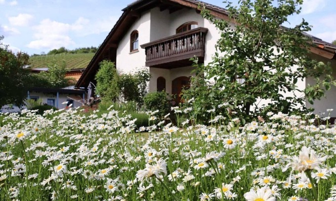 Dorsheim Apartamento | Vacation apartment Weinbergsliebe - Wonderful vacation apartment on the vineyard