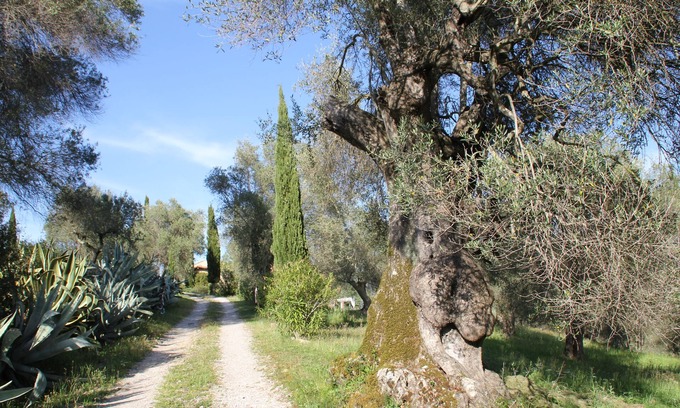 Caldana Apartamento | Vacation apartment in a Tuscan stone house