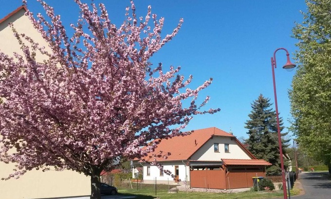 Grossposna Condominio | Vacation apartment Störmthaler See