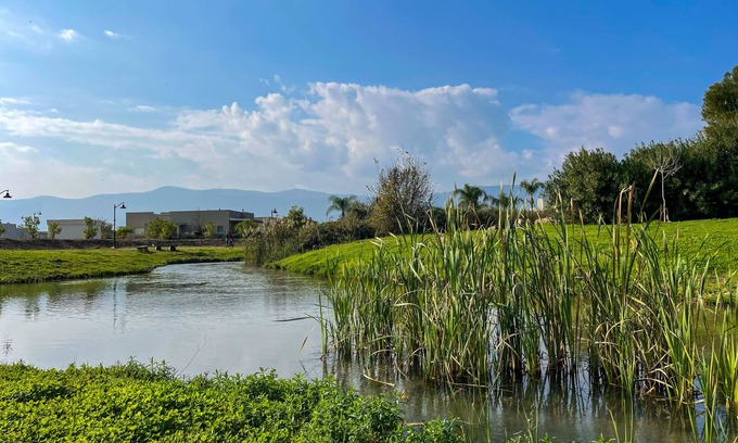 HaGoshrim Apartamento | Vacation home at kibbutz Hagoshrim, 5 min walk the river