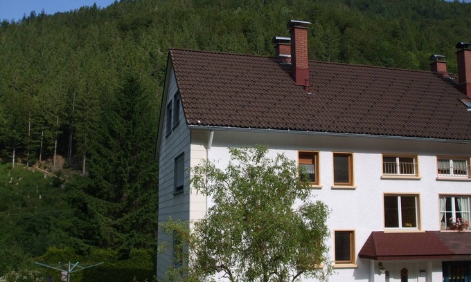 Brandenberg-Fahl Casa | Vacation home for 9 guests with 100m² in Todtnau (157265)