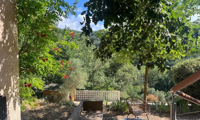Collobrieres Villa | Vacation home in the forest - Quiet, exceptional setting, swimming pool.