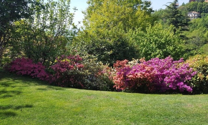 Brunate Apartamento | VACATION HOME LE VIOLETTE