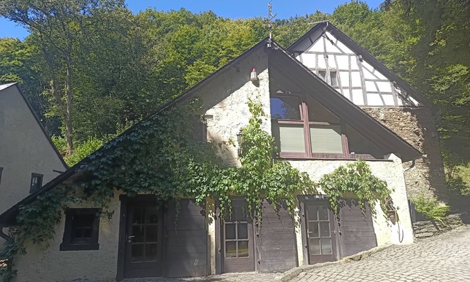 Morbach Casa | 5 * vacaciones (DTV) en un histórico molino de agua en Hunsrück cerca del Mosela