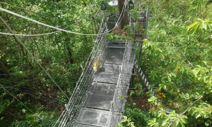 Bundenthal Apartamento | Vacation in the treetops