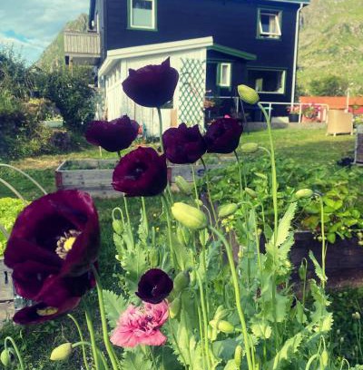 Valberg Cama Y Desayuno | Valberg Gjestegård