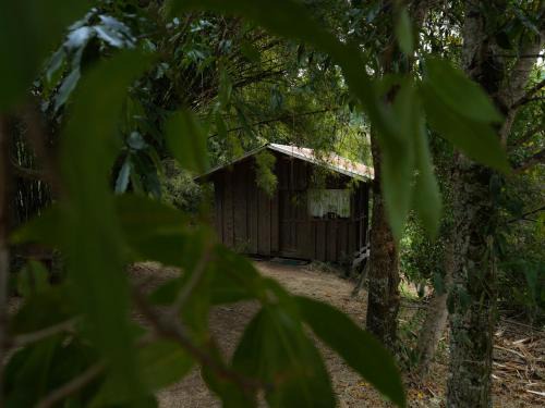 Copey Casa | Valchi Hospedaje de Montaña