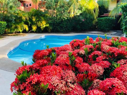Coco Casa | Valle Dorado 9