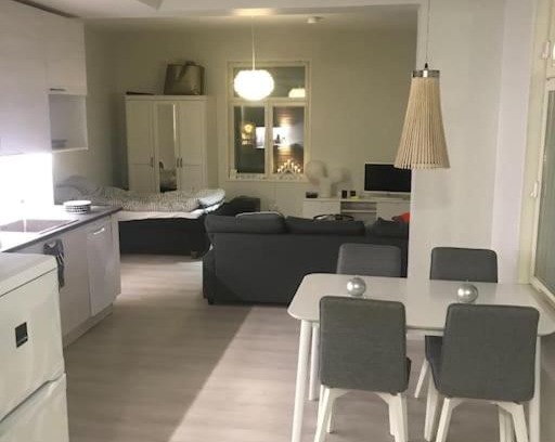 Rauma Apartamento | Valoisa avara yksiö loistavalla sijannilla