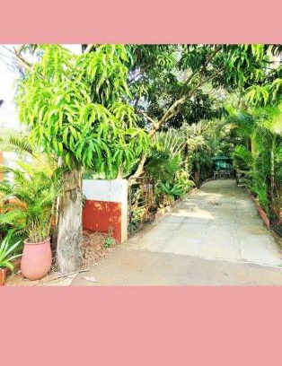 Malavli Apartamento | Vamoose Tranquil Dreams