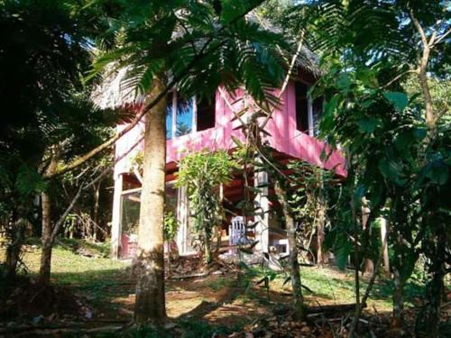Sarapiqui Cabina | Vanilla Jungle Lodge - Rainforest Waterfall Garden