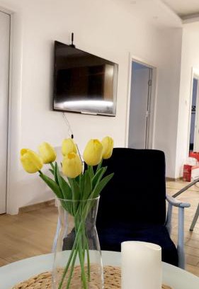 Vrsac Apartamento | Vanja Apartman