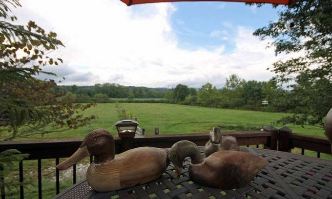 Pisgah Forest Casa | Vaquero Country Oasis cerca de Brevard