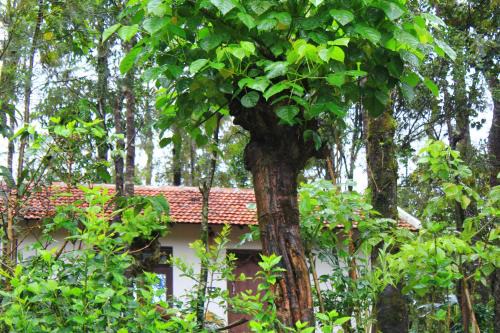 Chikkamagaluru Casa | Vastare Homestay and Resort Chikmagalur