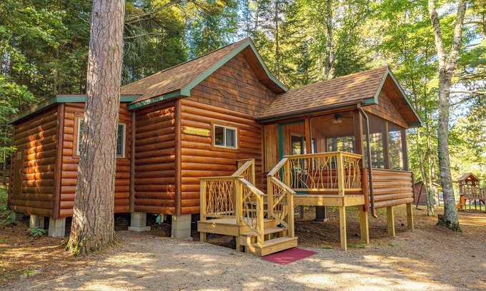 Orr Cabina | Vaulted Ceilings and a Stunning Main Room (Pet-Friendly)