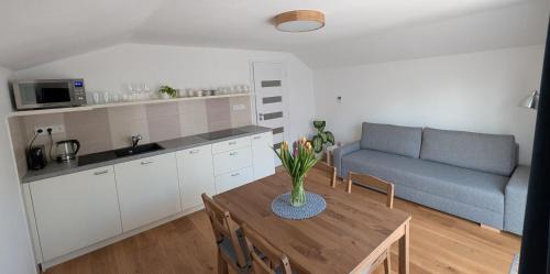 Nove Mesto na Morave Apartamento | Vejminek NMNM