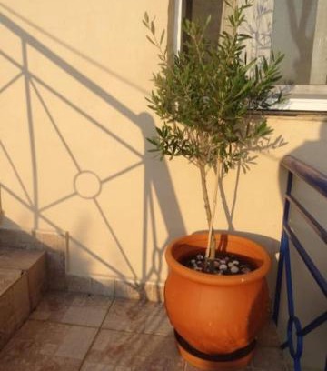 Velika Apartamento | Velika seaside Apartment