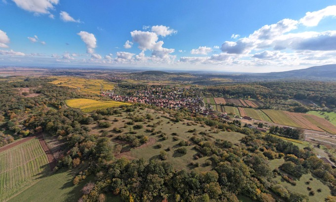 Rosenwiller Casa | Casa alsaciana con entramado de madera muy encantadora en la ruta del vino de Alsacia