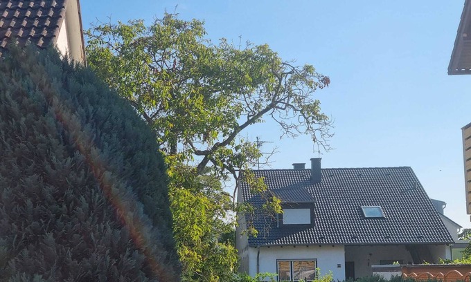 Mannheim Condominio | Very nice 3 room apartment with large terrace in Mannheim near Heidelberg
