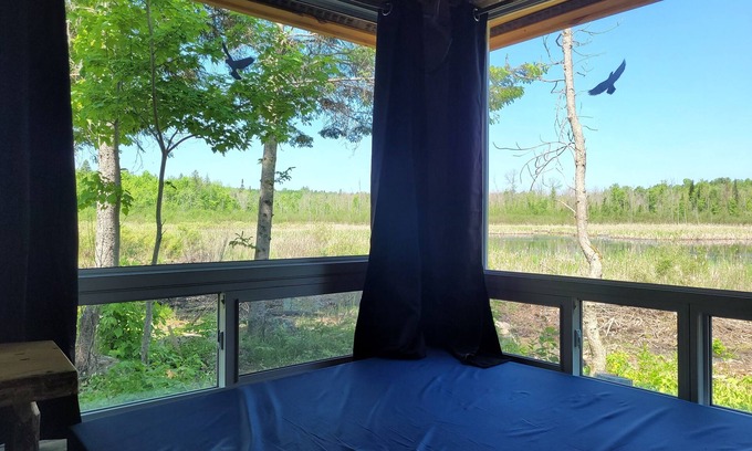 Golden Lake Cabina | Very Private, Secluded, Nature, Pet Friendly, NO NEIGHBOURS -Red Pine cabin