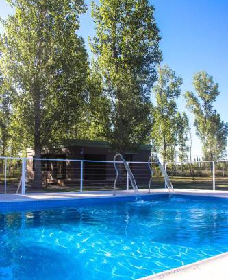 Rama Caída Apartamento | VIÑAS DEL SOL