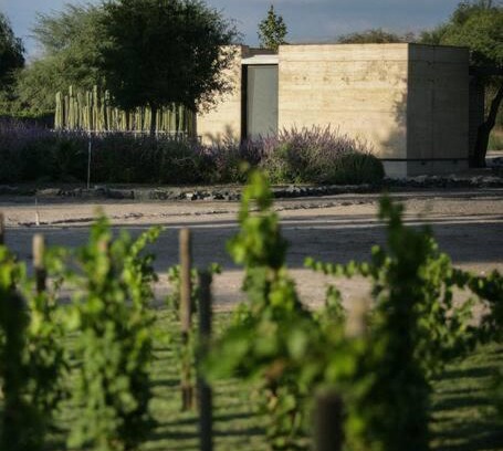 Soledad de Graciano Sánchez Casa | Viñedo Bodega 1881