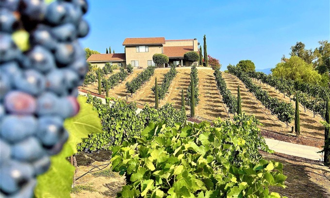 Temecula Casa | Via Vino Vineyard Estate - Hot Air Balloon Views