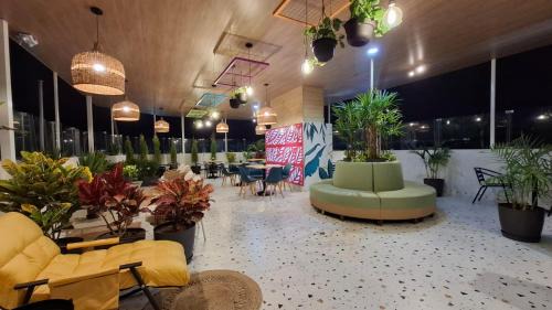 Tacna Hotel | VICTORIA COLOR Hotel