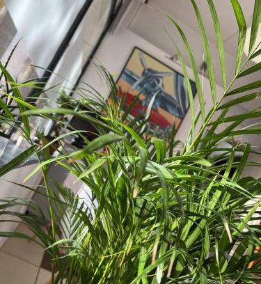 Rouen City Centre Hotel | Vieille tour Hotel centre Rouen