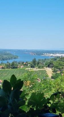 Smederevo Casa | View Point House